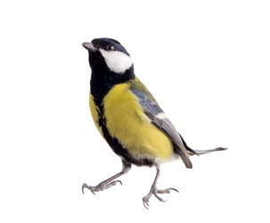 Similar image 1292373