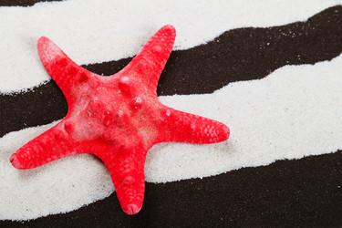 Similar image 1292384