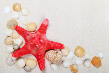 Similar image 1292387