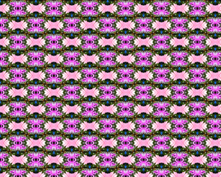 Similar image 1292428