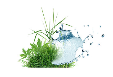 Similar image 1292457