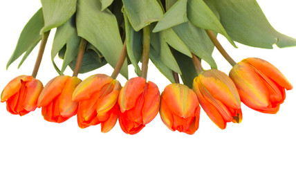 Similar image 1292471