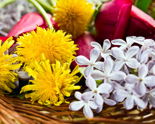 Similar image 1292757