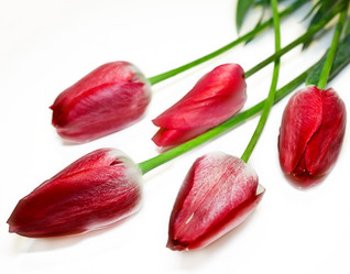 Similar image 1292758