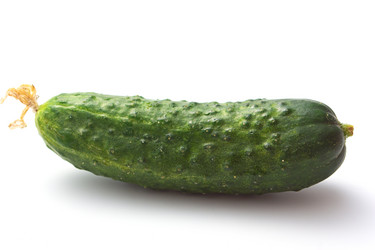 Similar image 1292776