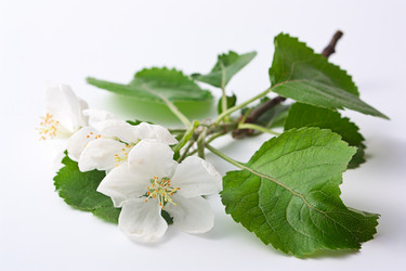 Similar image 1292783