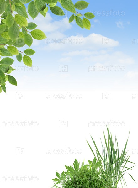 шаблоны для фото на документы без угла 330 x 450 · jpeg шаблоны для фото на документы без угла 330 x 450 · jpeg