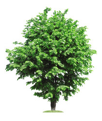 Similar image 1293053