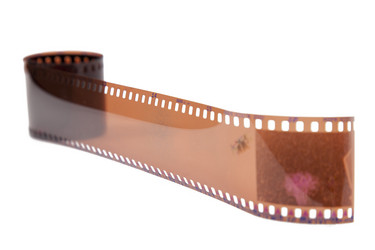 Similar image 1293125