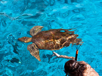 Similar image 1293179