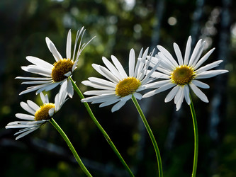 Similar image 1293183