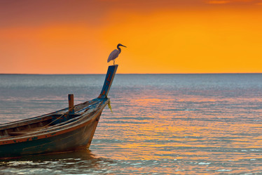 Similar image 1293188