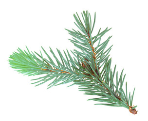 Similar image 1293250