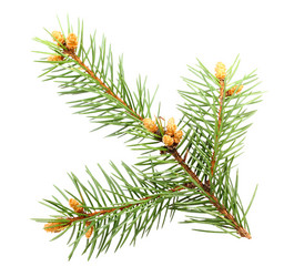 Similar image 1293251