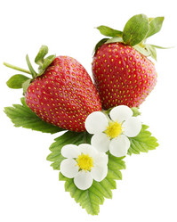 Similar image 1293329