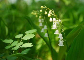 Similar image 1293379