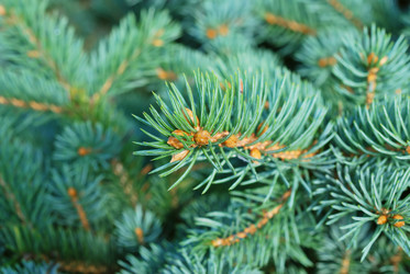 Similar image 1293465