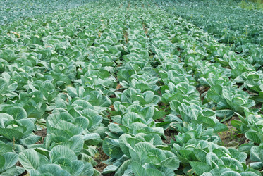 Similar image 1293474