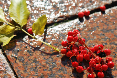 Similar image 1293475