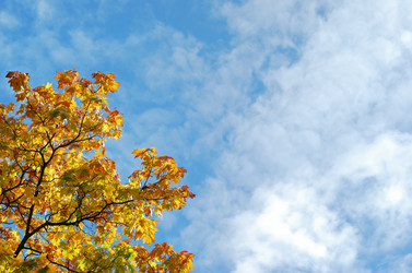 Similar image 1293483