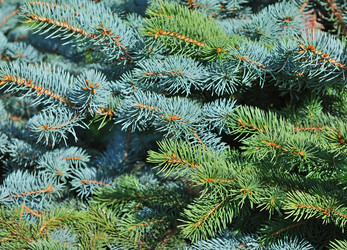 Similar image 1293490