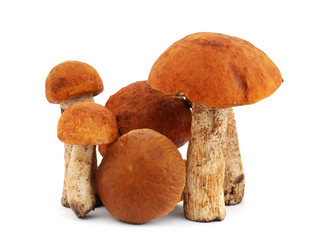 Similar image 1293491