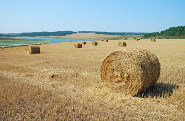 Similar image 1293503