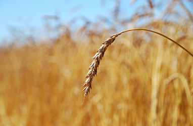 Similar image 1293515