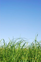 Similar image 1293516