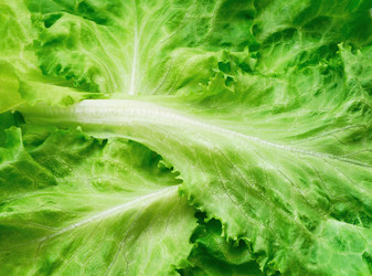 Similar image 1293522