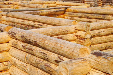 Similar image 1293545