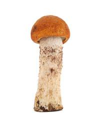 Similar image 1293546