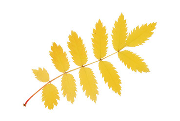 Similar image 1293555