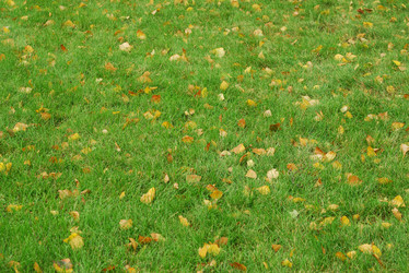 Similar image 1293561