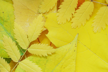 Similar image 1293566