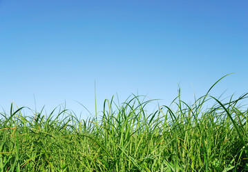 Similar image 1293574