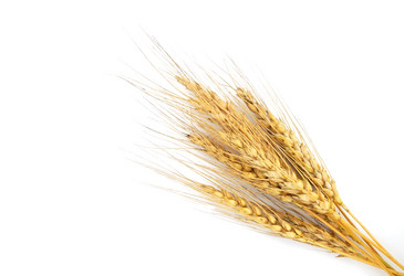 Similar image 1293587