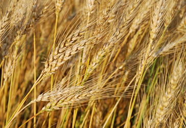 Similar image 1293595