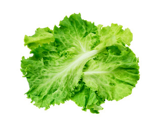 Similar image 1293599