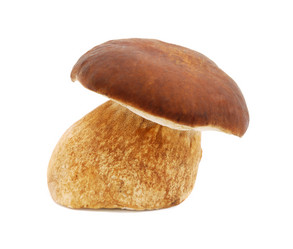 Similar image 1293605