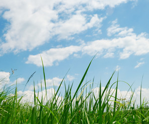 Similar image 1293606