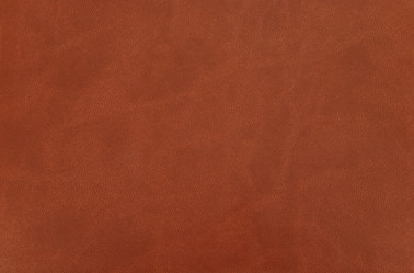 Similar image 1293609