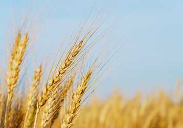 Similar image 1293610