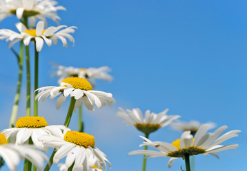 Similar image 1293614