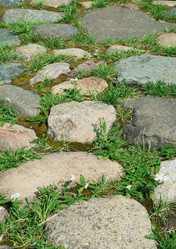 Similar image 1293616