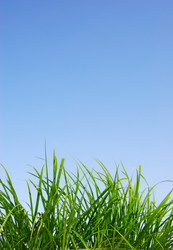 Similar image 1293623