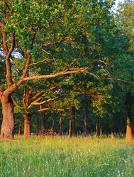 Similar image 1293625