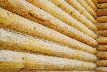 Similar image 1293630