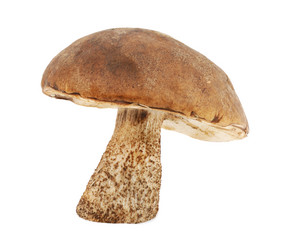 Similar image 1293652