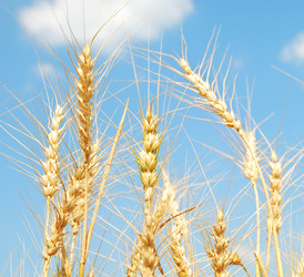 Similar image 1293695